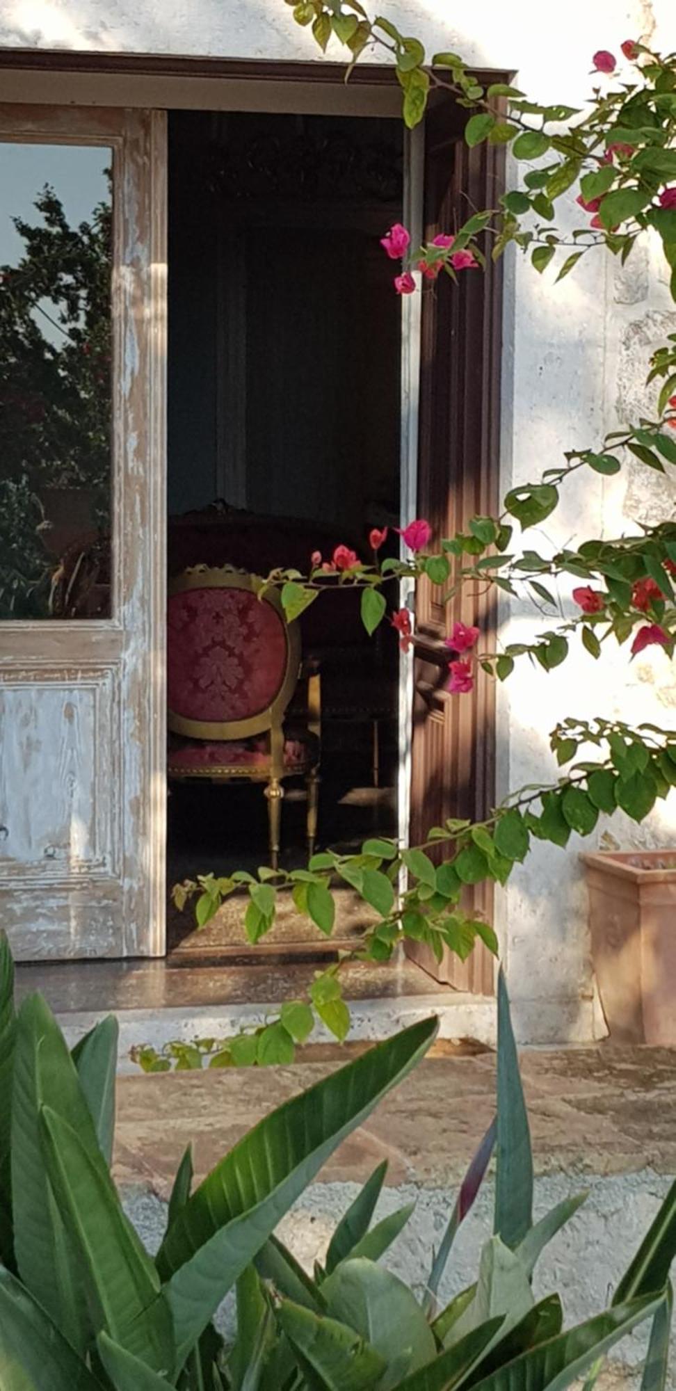 Villa Ani Apartment Ariel Dubrovník Exteriér fotografie